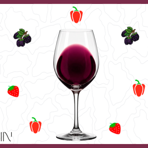 IGP PAYS D'OC CABERNET SAUVIGNON 2025