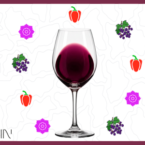 IGP PAYS D'OC CABERNET SAUVIGNON 2025