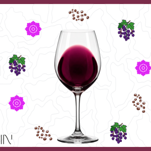 IGP PAYS D'OC SYRAH ROUGE 2025