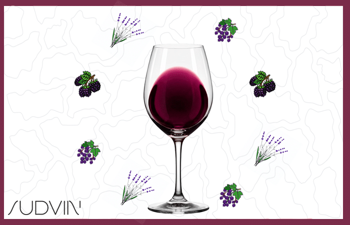 VIN DE France PIWI ROUGE 2025