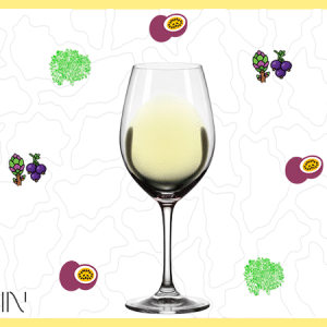 IGP COTES DE GASCOGNE SAUVIGNON 2025